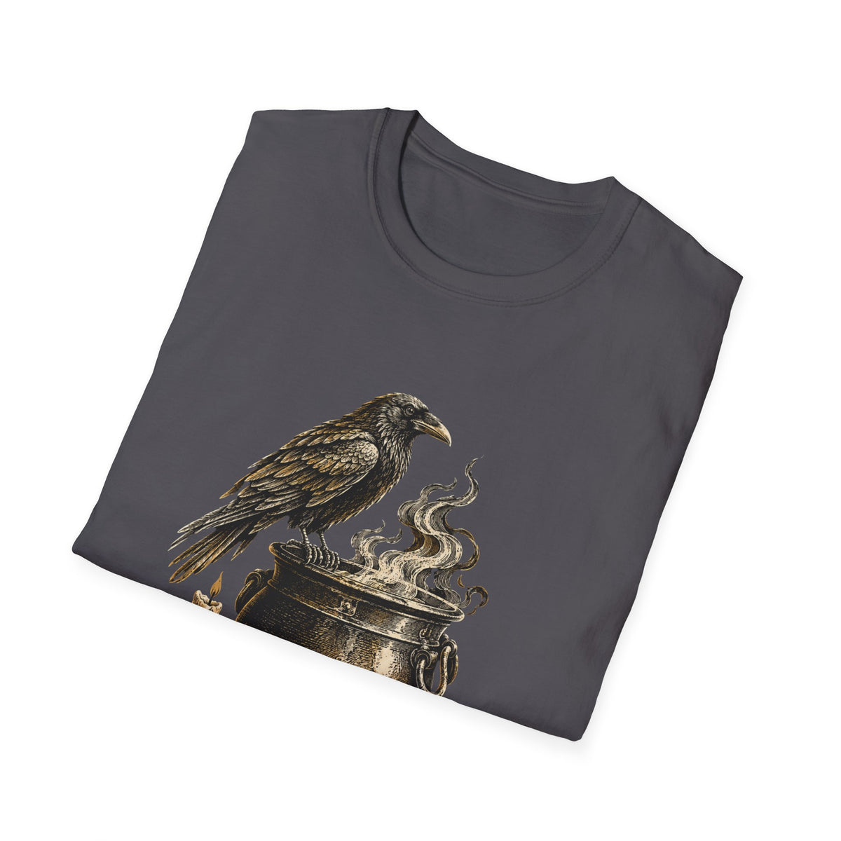 Quoth the Raven T-Shirt