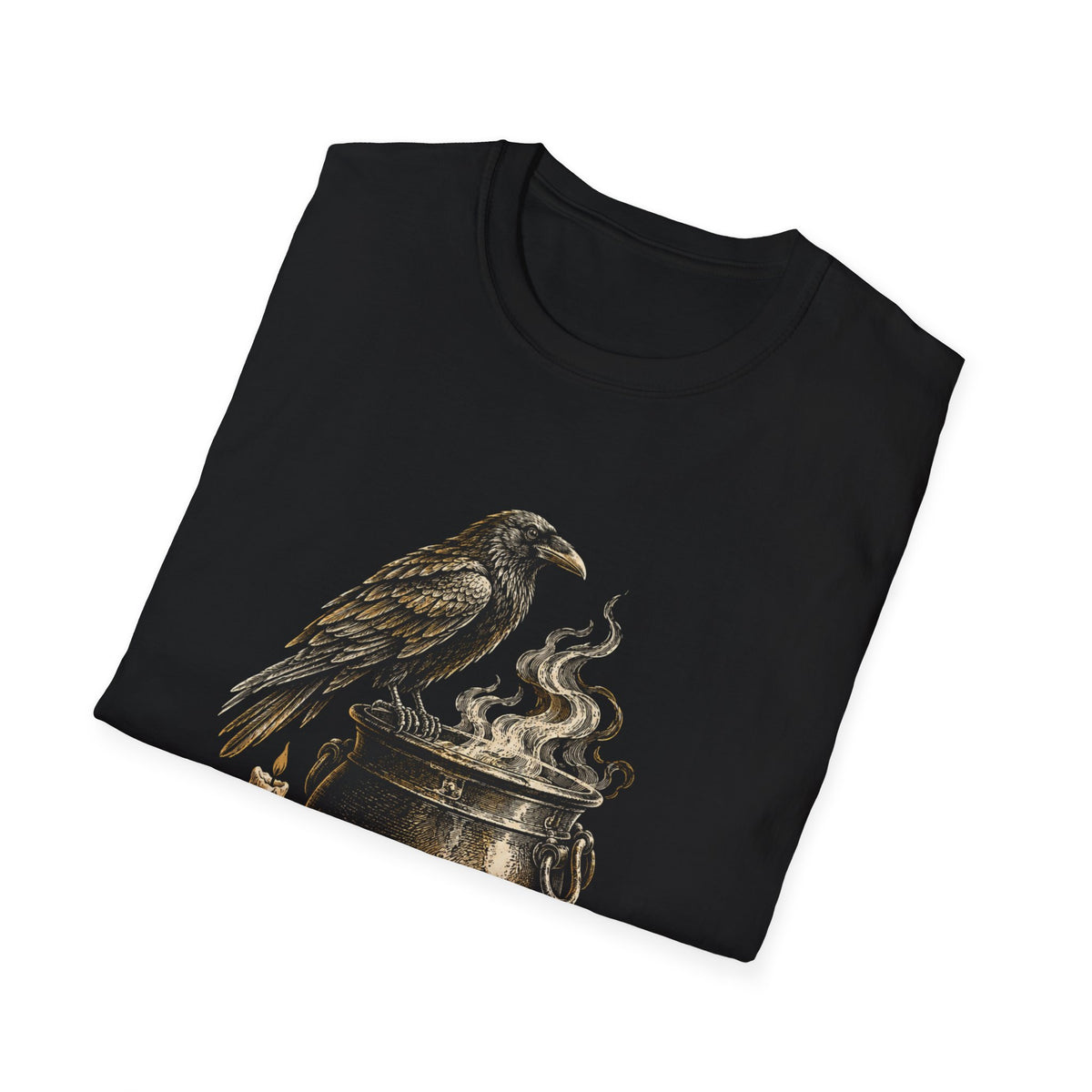 Quoth the Raven T-Shirt