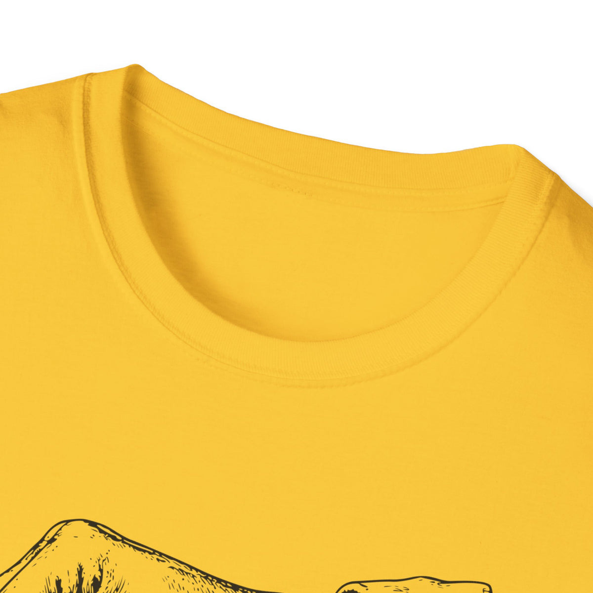 Salt Definition T-Shirt
